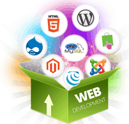 SkyT InfoTech Website Development